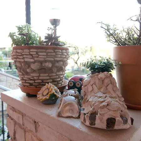 A Moela Apartment Umag